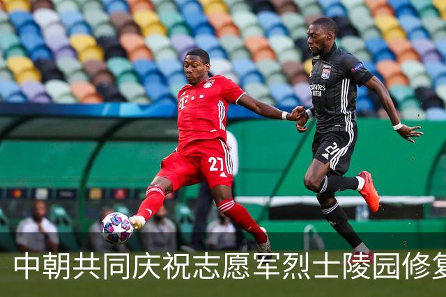 中朝共同庆祝志愿军烈士陵园修复工程完工
